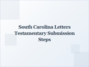 South Carolina Testamentary Submission Guidelines