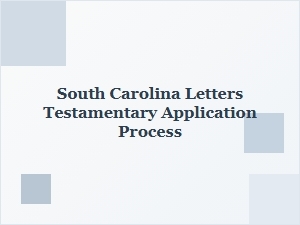 South Carolina Testamentary Application Process